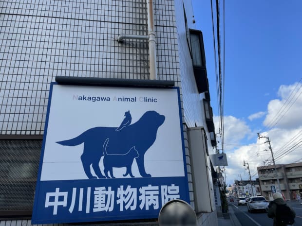 中川動物病院