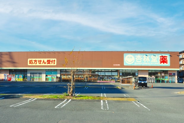 杏林堂姫街道店