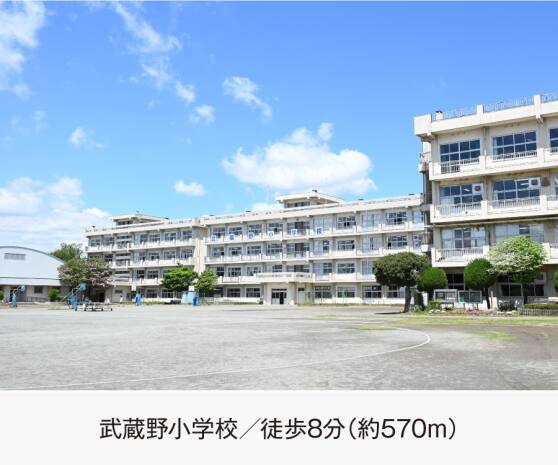 武蔵野小学校