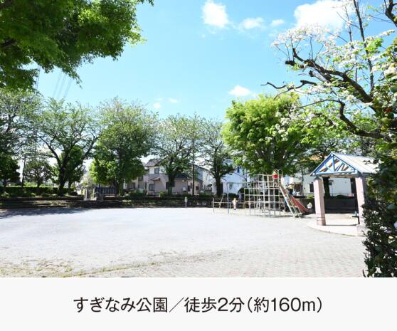 すぎなみ公園