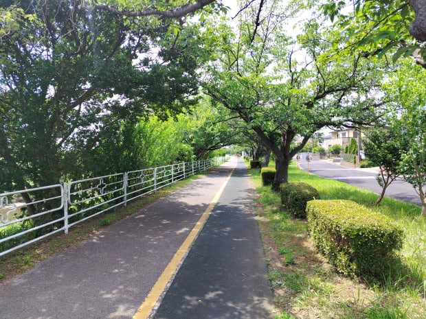 君津小糸川遊歩道