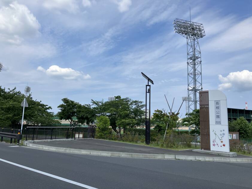 2024年6月撮影