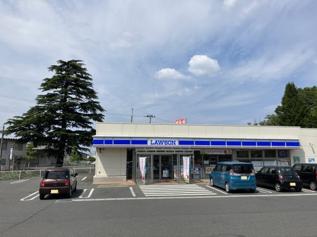 2024年6月撮影