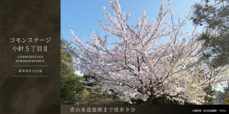 コモンステージ小針５丁目Ⅱ