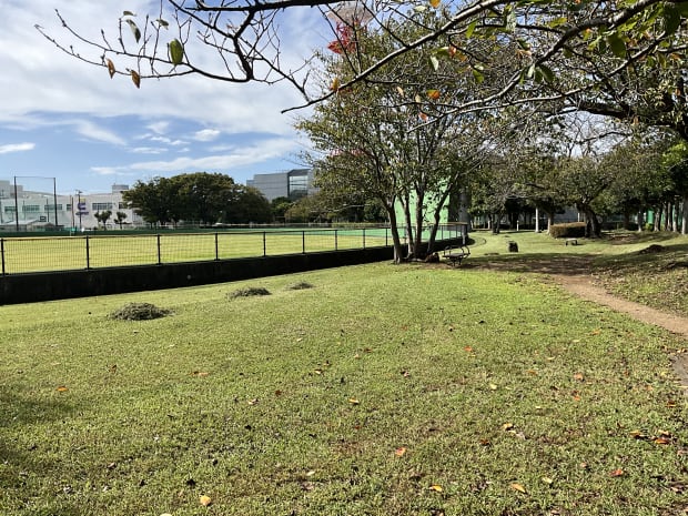 沼津北公園