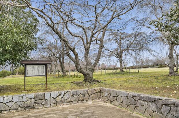 鹿島城山公園