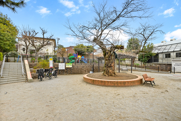 自由が丘公園