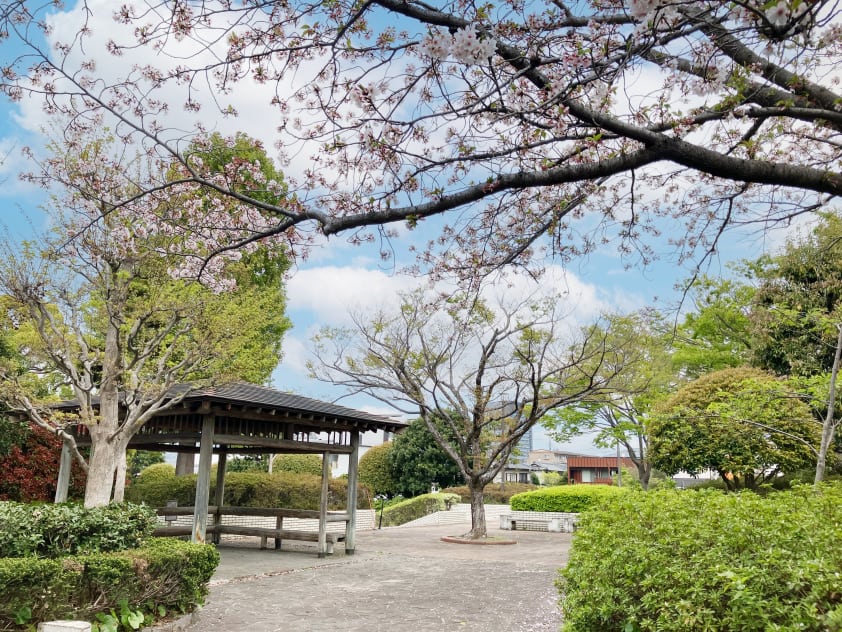 中吉田公園