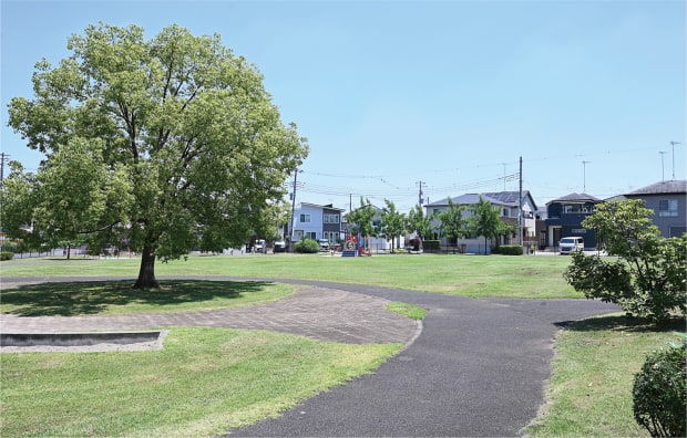 わんぱく公園