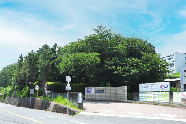 静岡県立浜松西高校・中等部