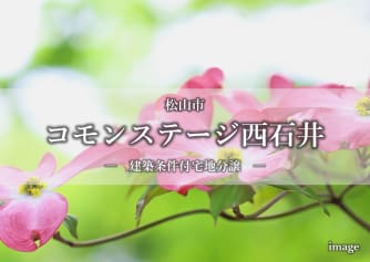 コモンステージ西石井