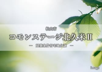 コモンステージ北久米Ⅱ