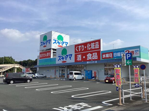 ドラッグスギヤマ豊川インター店