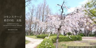 コモンステージ紡ぎの杜　女池