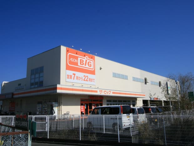 ザ・ビッグ藤枝田沼店