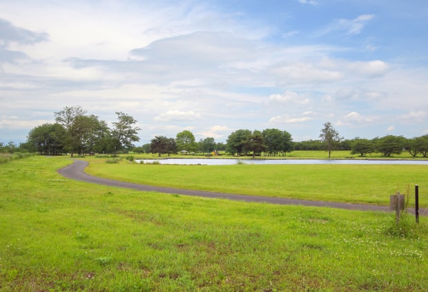 氏家ゆうゆうパーク