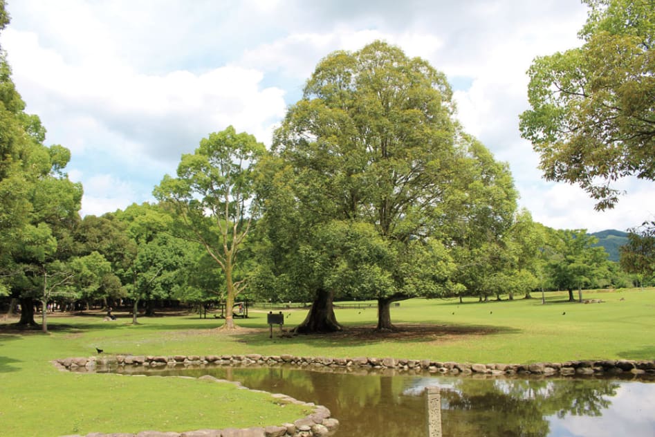 奈良公園