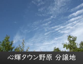 心輝タウン野原　分譲地