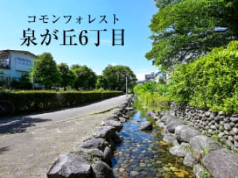 コモンフォレスト泉が丘6丁目【販売代理】