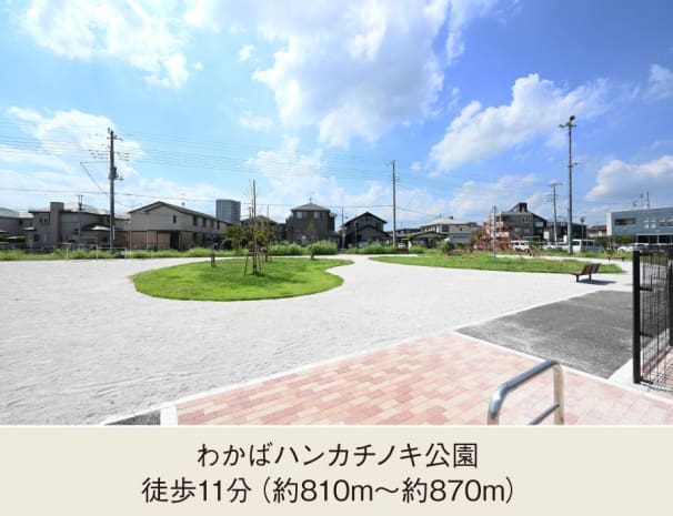 わかばハンカチノキ公園