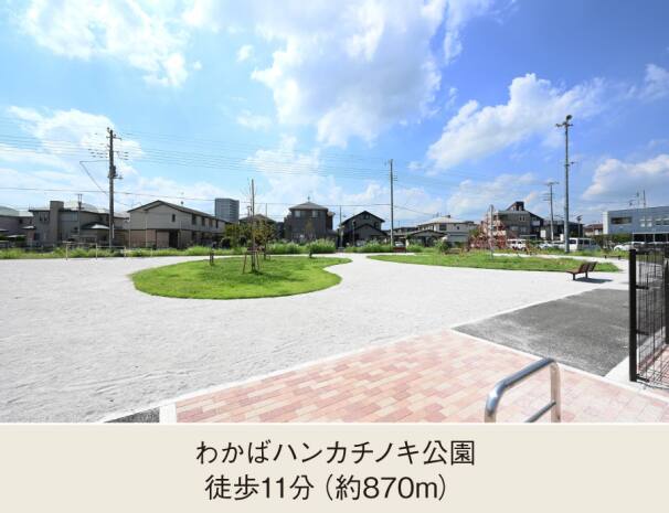 わかばハンカチノキ公園