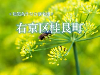 西京区桂艮町