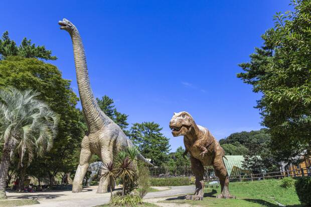 コモンステージ岡崎欠町左義長