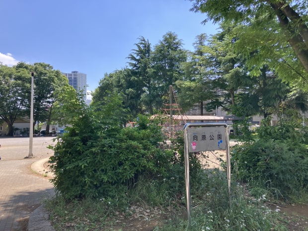 向原公園