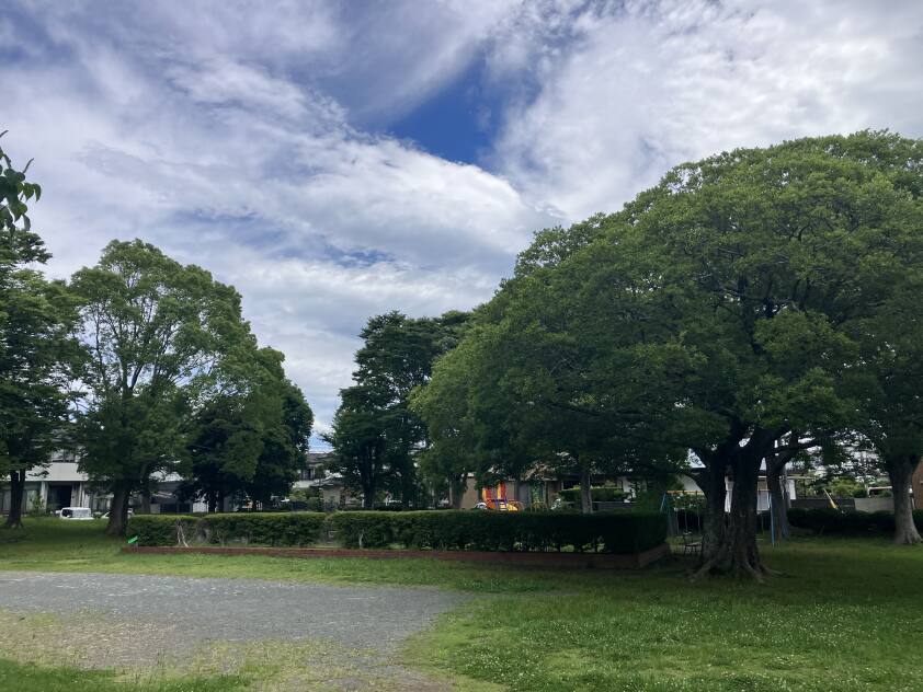 富士見公園