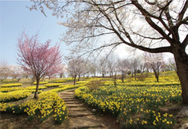東那須野公園