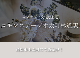 コモンステージ木太町林道駅【コンセプト分譲住宅】