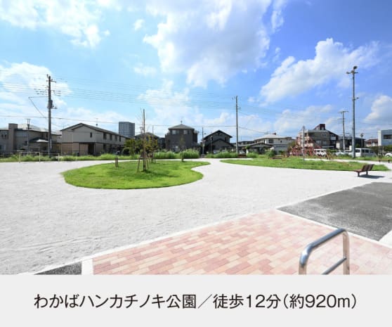 わかばハンカチノキ公園