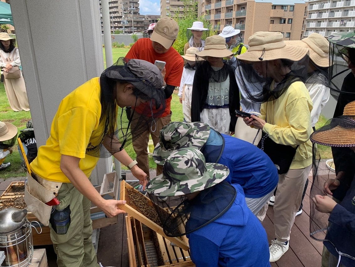 ミツバチ建設プロジェクトのイベント 画像 2