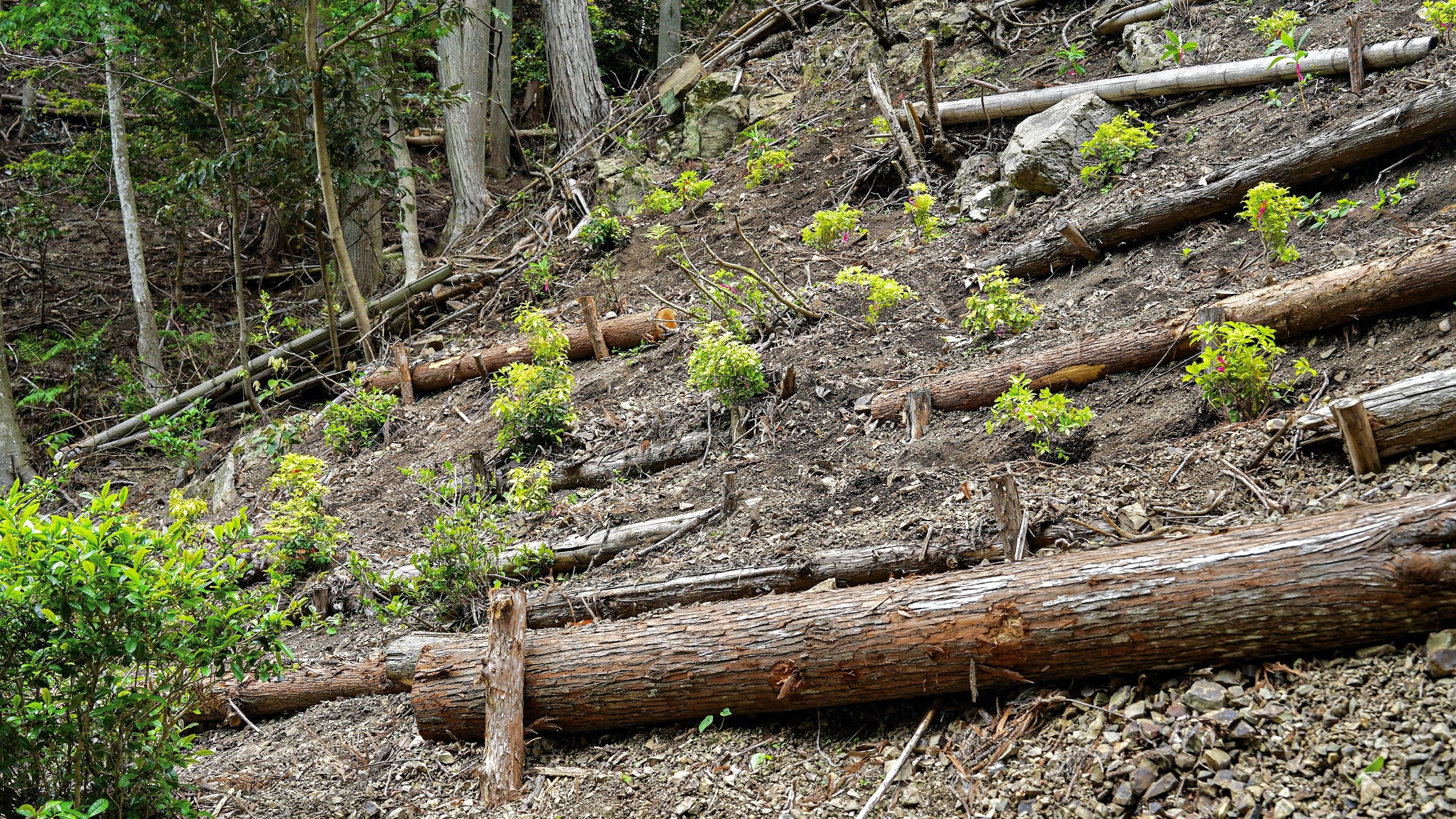 2カラム