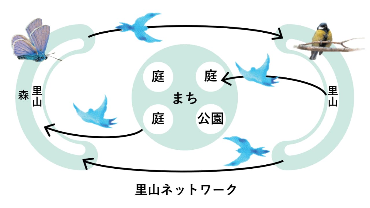 里山ネットワーク