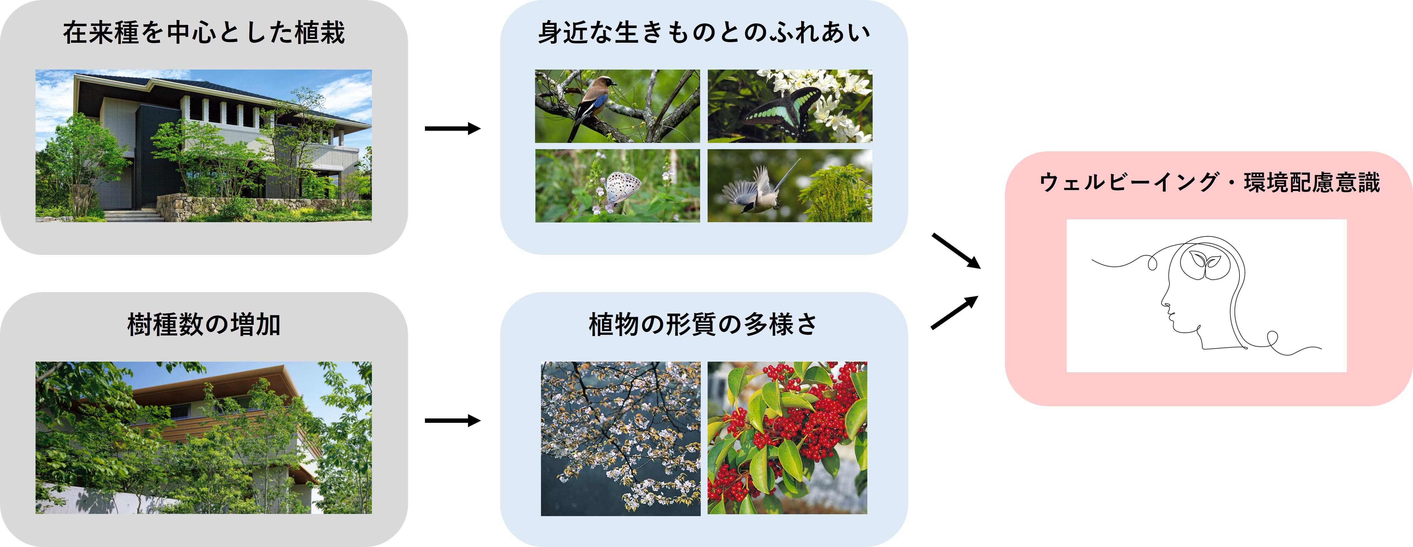 生物多様性と健康に関する共同研究についての最新分析結果