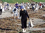 海岸の清掃活動に参加