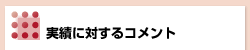 実績に対するコメント