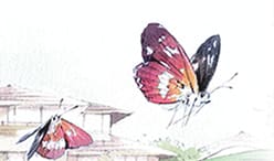 持続可能性報告書2005年1月期