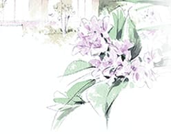 持続可能性報告書2005年1月期