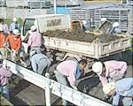 環境ボランティアの様子