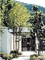 「毘沙門堂へ続く道」の写真