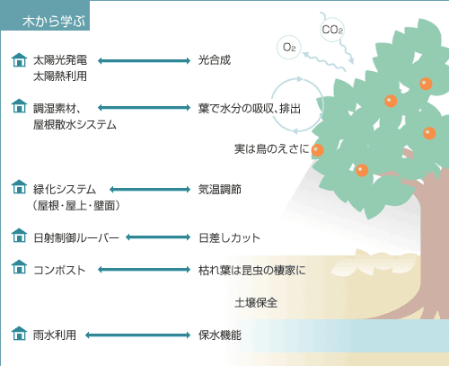 木から学ぶ