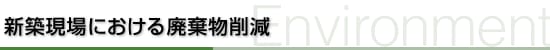Vzɂp팸