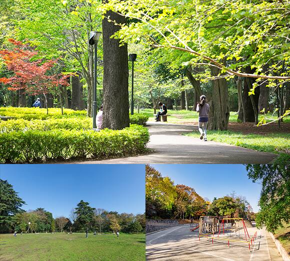 江古田の森公園