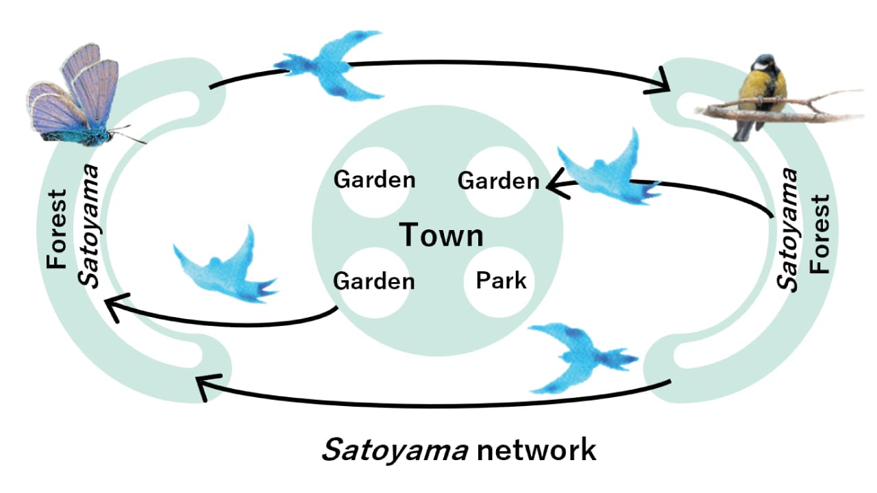 Satoyama network