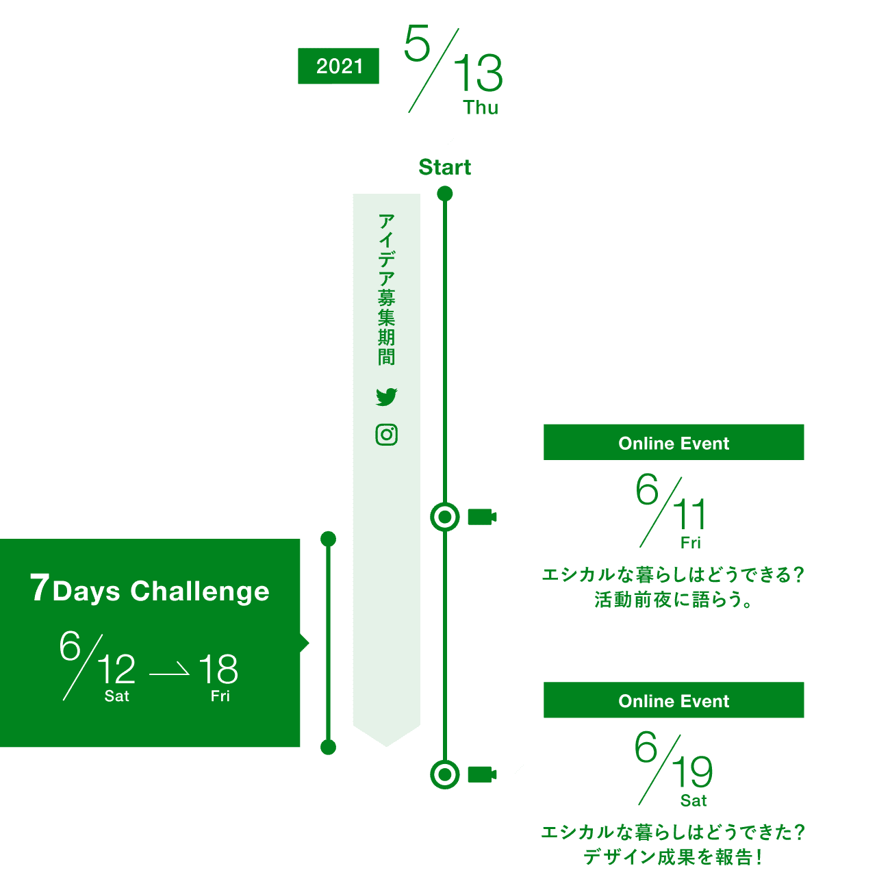 Project Timeline