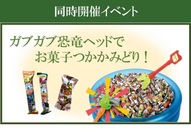 金沢市長坂 実例完成見学会 プライベートガーデンの家 石川県 石川中央エリア 全国各地のイベントのご案内 積水ハウス