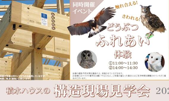 積水ハウスの構造現場見学会 Inホリデータウン湖南市若竹町 同時開催イベント 動物ふれあい体験 外壁取付実演 先着で人気洋菓子店のチケットもプレゼント 滋賀県 甲賀エリア 全国各地のイベントのご案内 積水ハウス 積水ハウスの構造現場見学会 Inホリデータウン湖南市若竹町 同時開催イベント 動物ふれあい体験 外壁取付実演 先着で人気洋菓子店のチケットもプレゼント 滋賀県 甲賀エリア 全国各地のイベントのご案内 積水ハウス