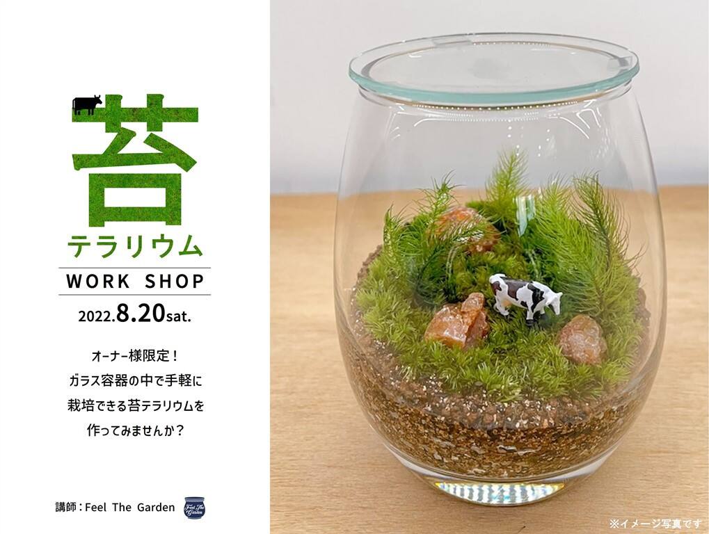 オーナー様限定 インテリアグリーンとして大人気の 苔テラリウム を作ろう 東京都 全国各地のイベントのご案内 積水ハウス